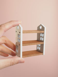 Miniature House Shelves